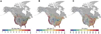 Phylogenetic Endemism Hotspots of North American Birds Are Associated With Warm Temperatures and Long- and Short-Term Climate Stability